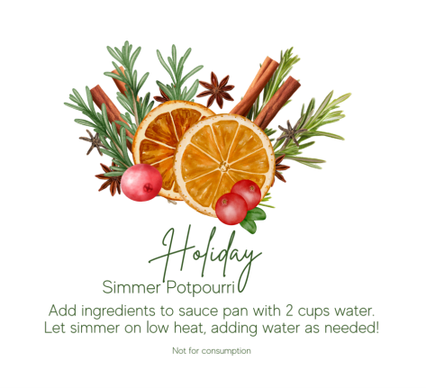 Simmer Pot Packet