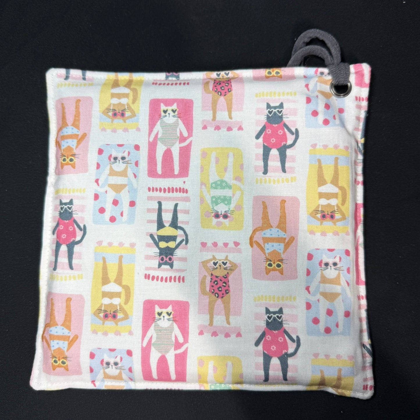 Sunbathing Cats iSpy Bag