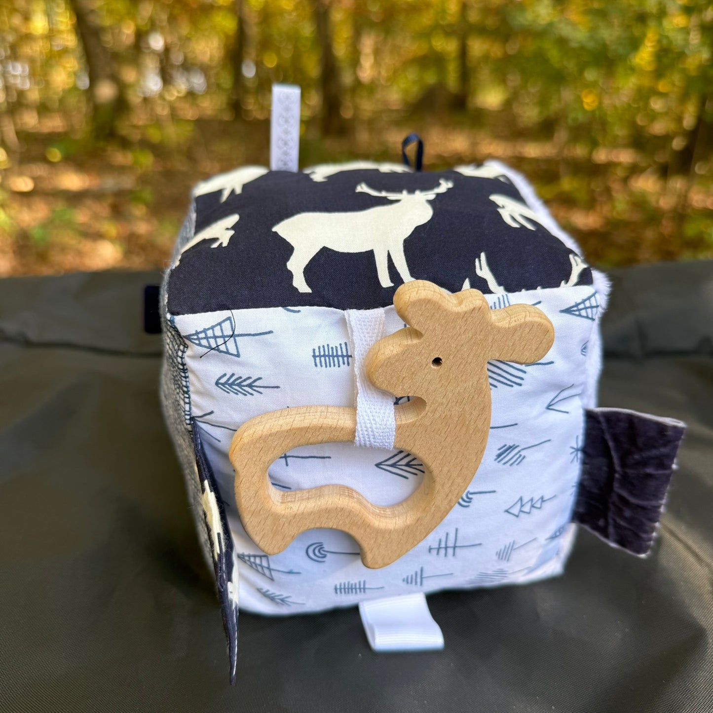 Baby Activity Taggie Cubes