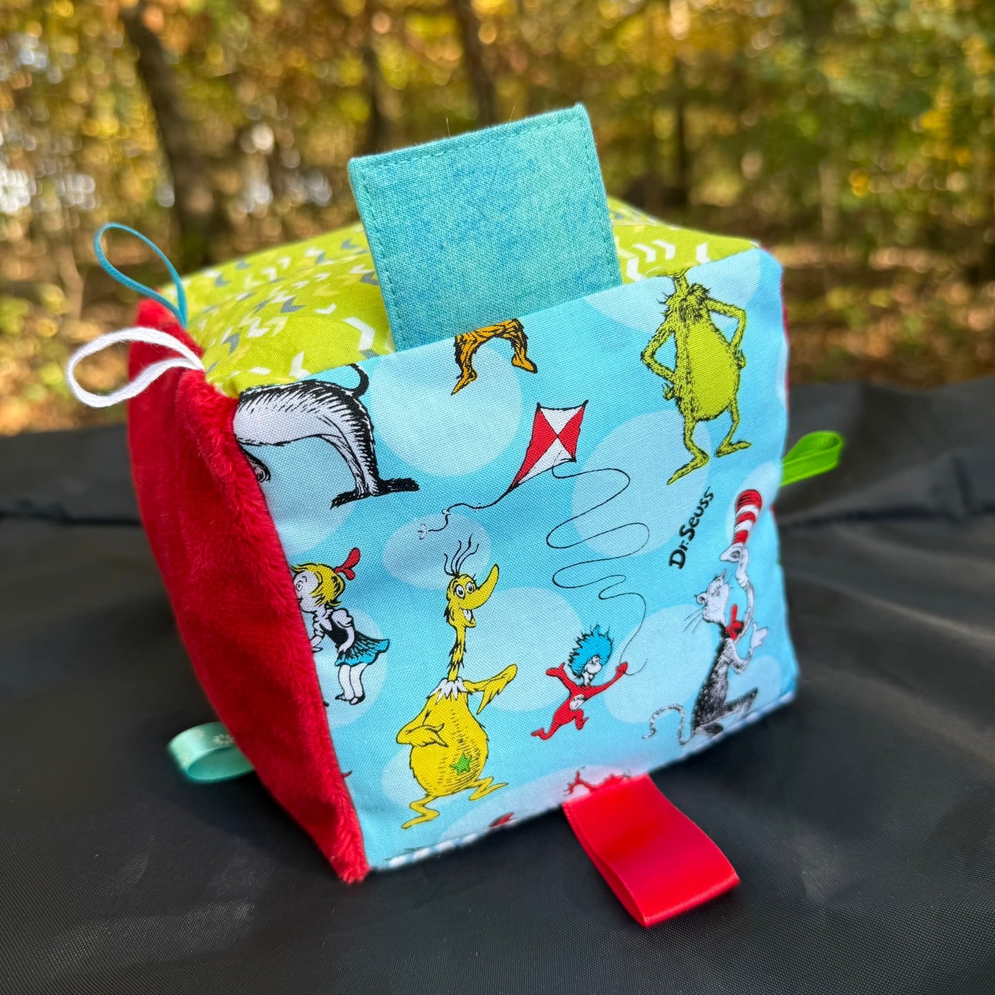 Baby Activity Taggie Cubes