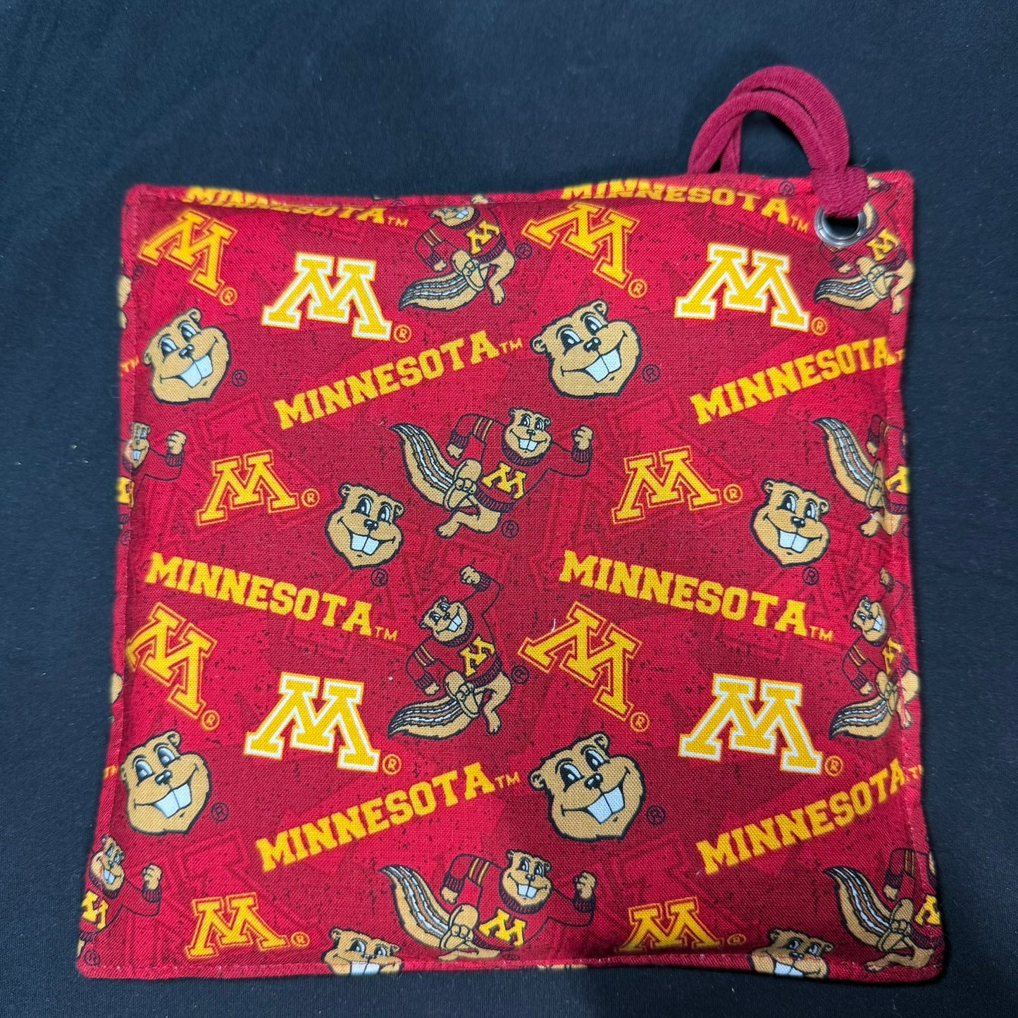 MN Gophers iSpy Bag