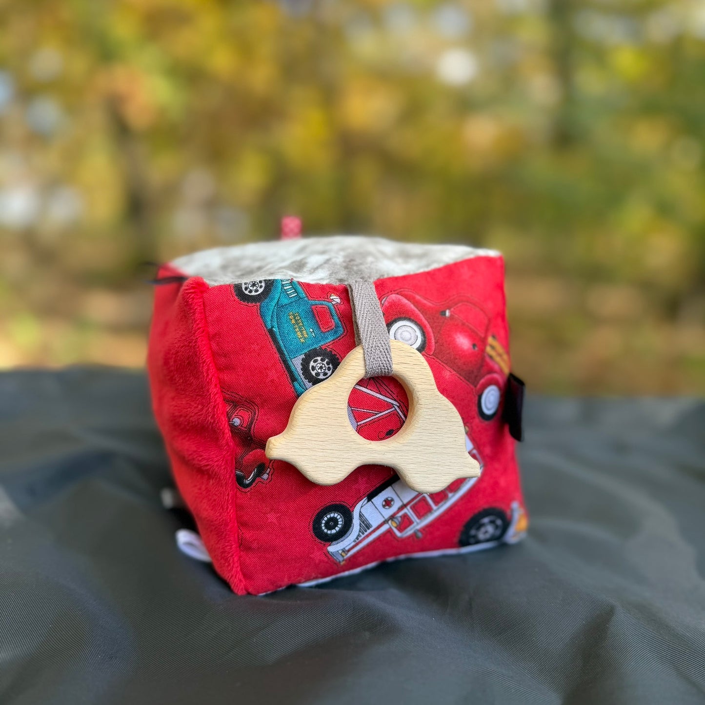 Baby Activity Taggie Cubes