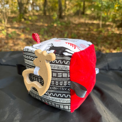 Baby Activity Taggie Cubes