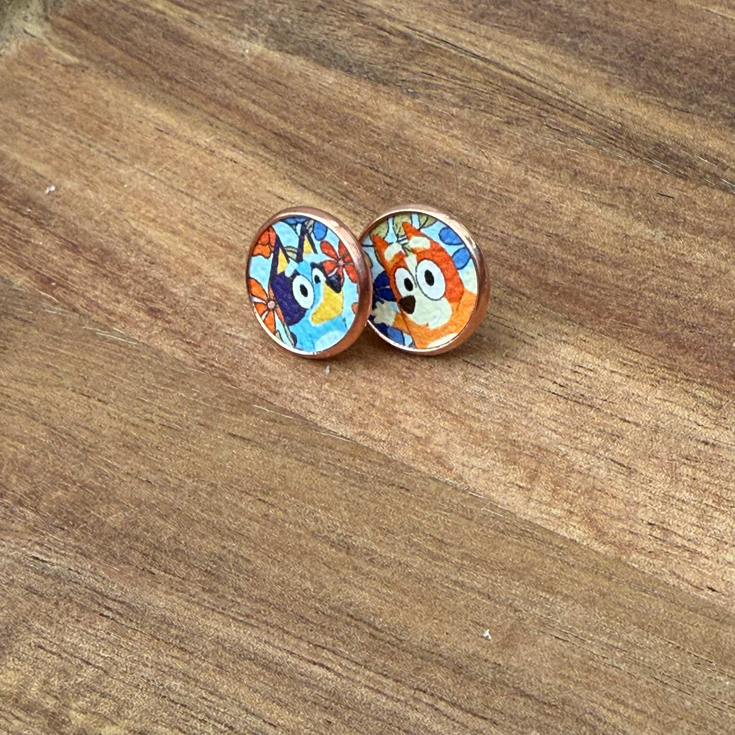 Bluey Circle Stud Earrings