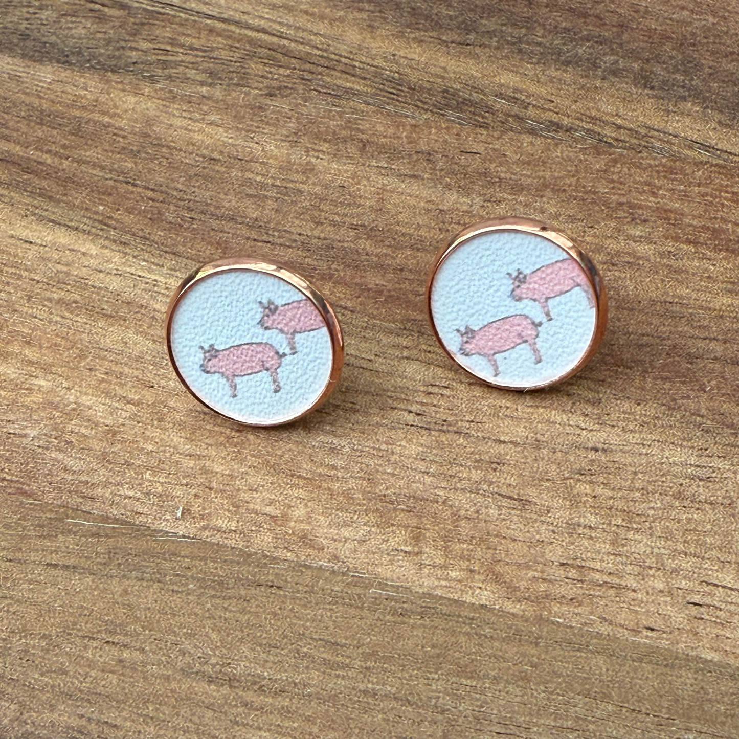 Pig Circle Stud Earrings