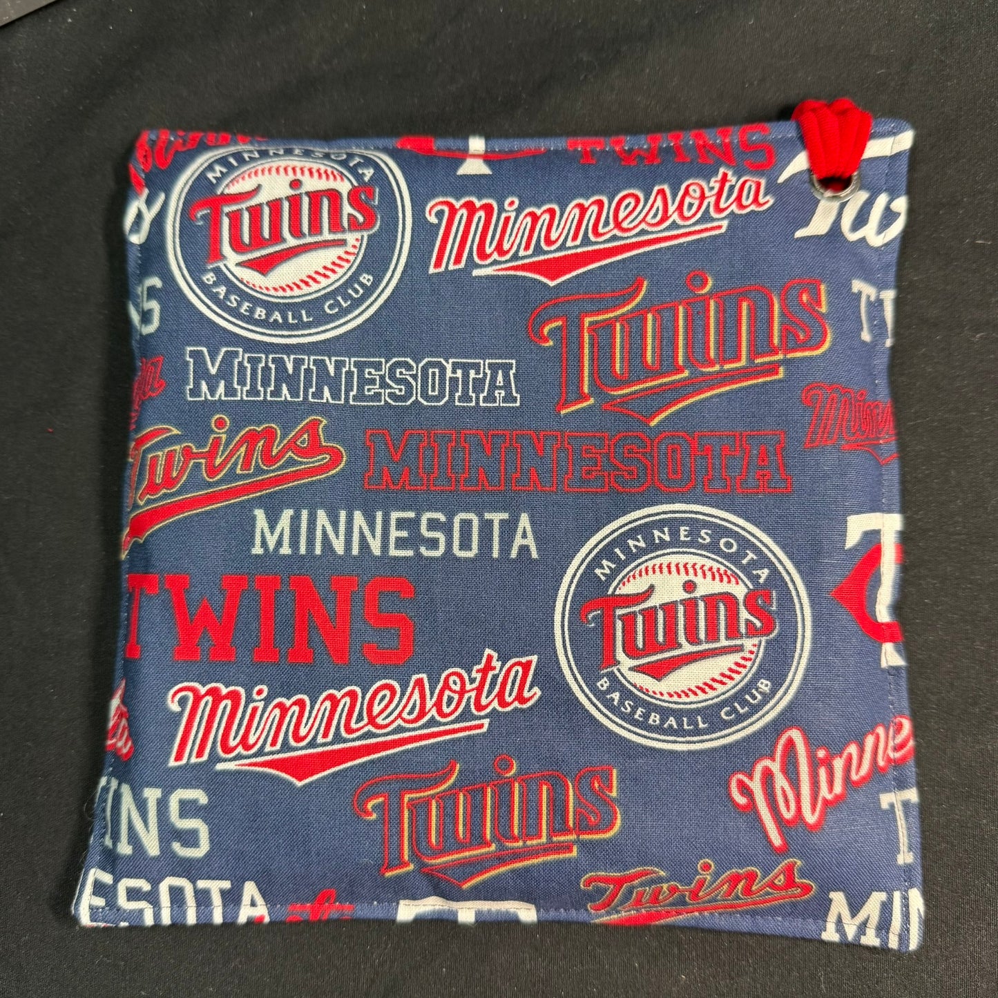 MN Twins iSpy Bag