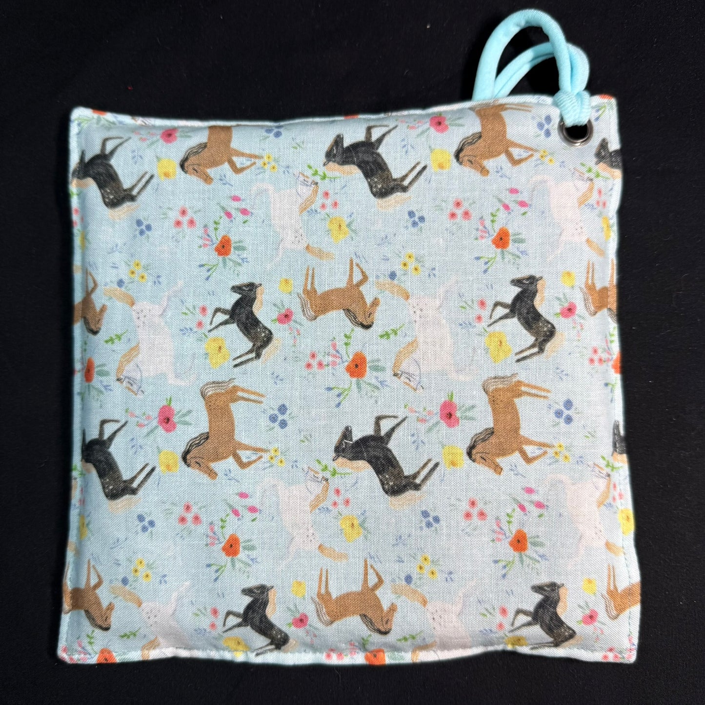 Horsin' Around iSpy Bag