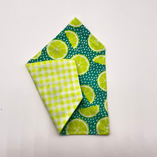 Fresh Squeezed / Lime Gingham Dog Bandana