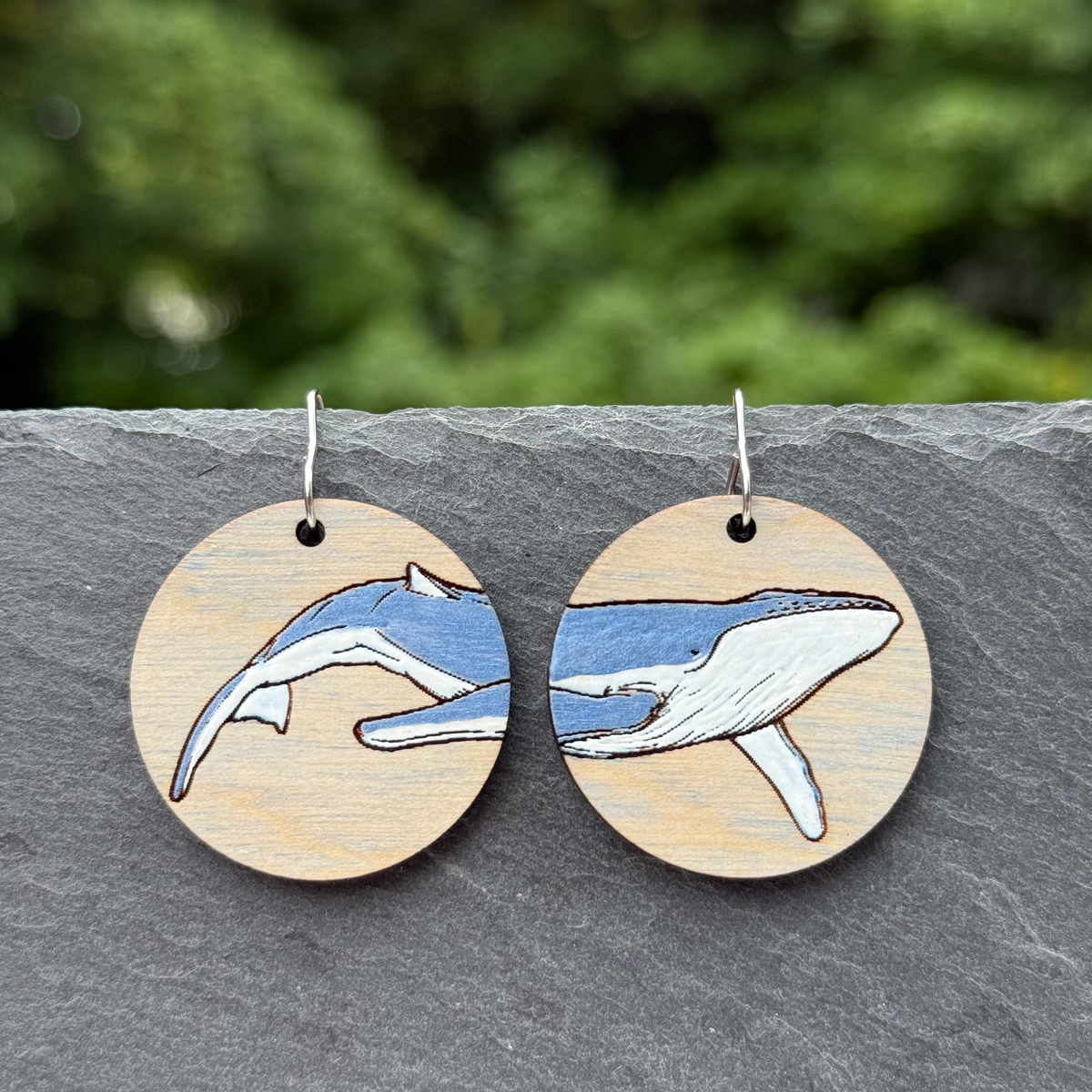 Whale Circle Drop Dangle Earrings