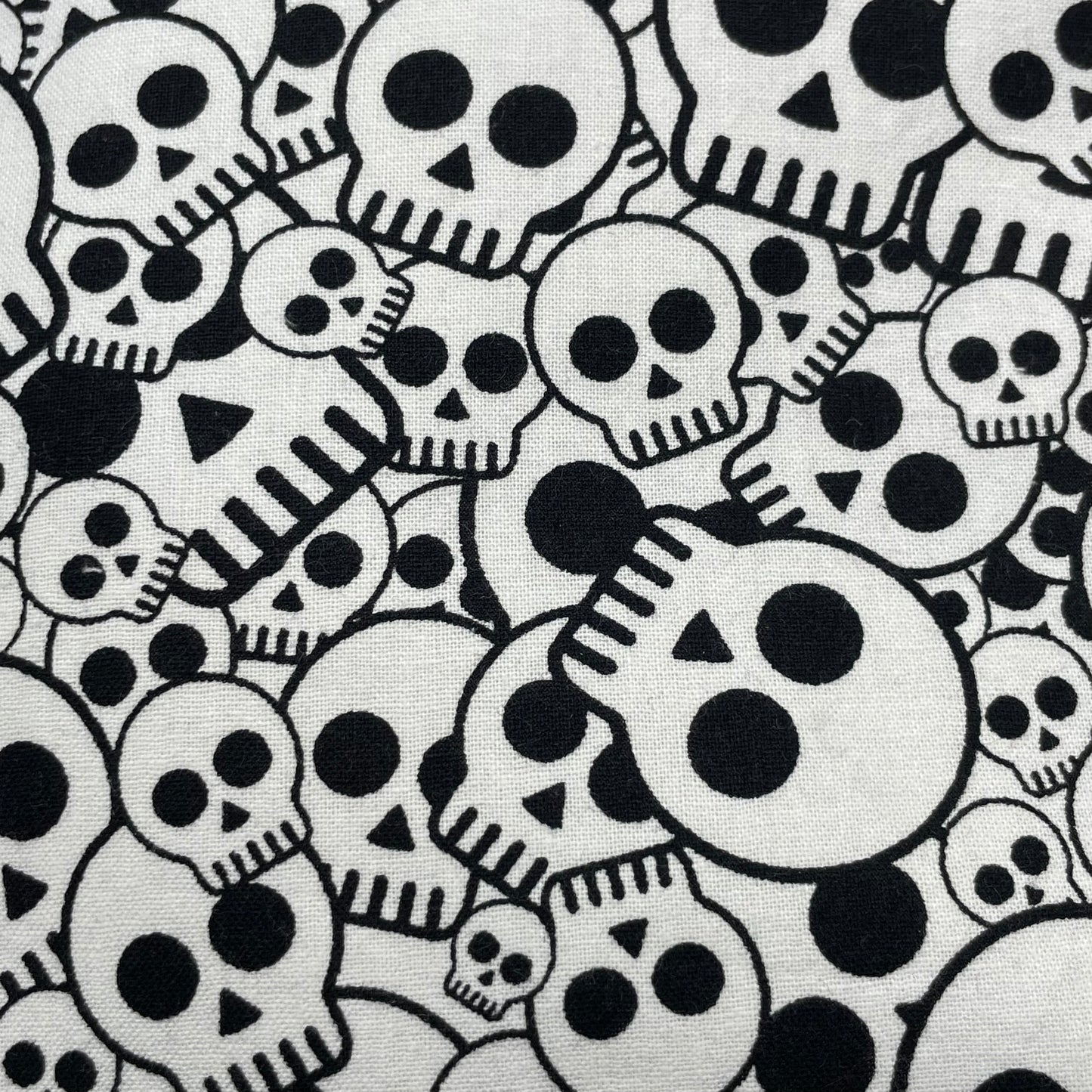 Skelly iSpy Bag