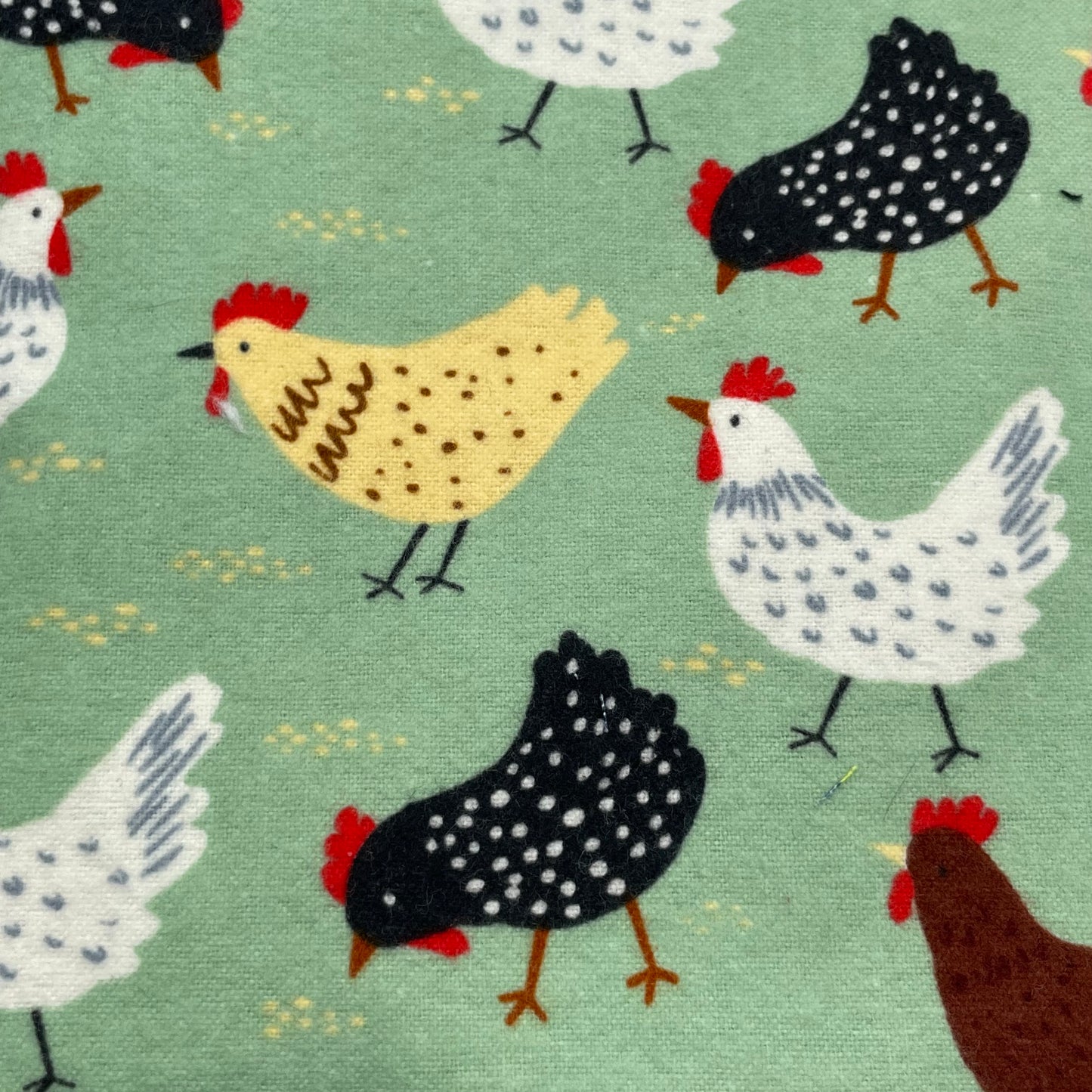 Chicken Feed iSpy Bag