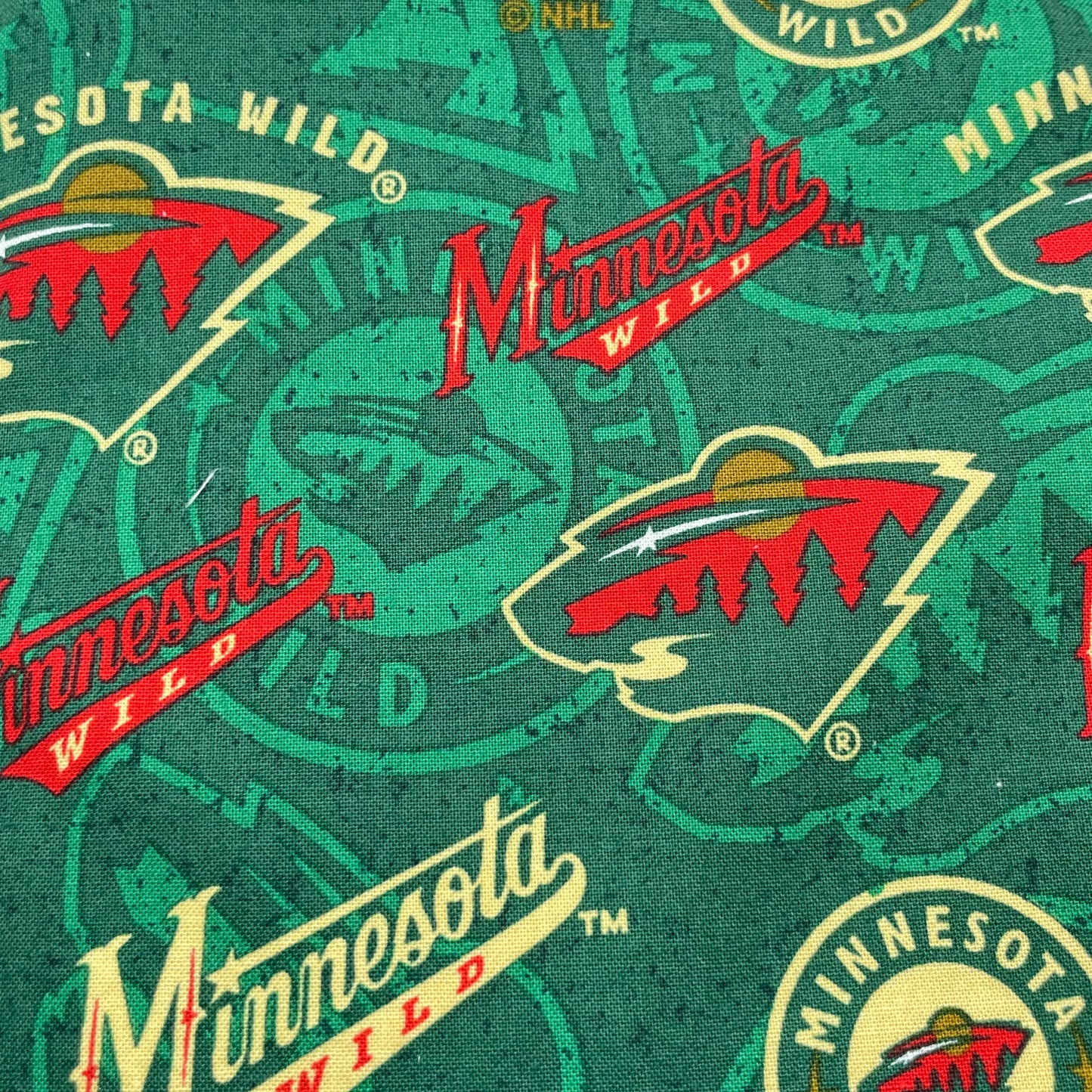 MN Wild iSpy Bag