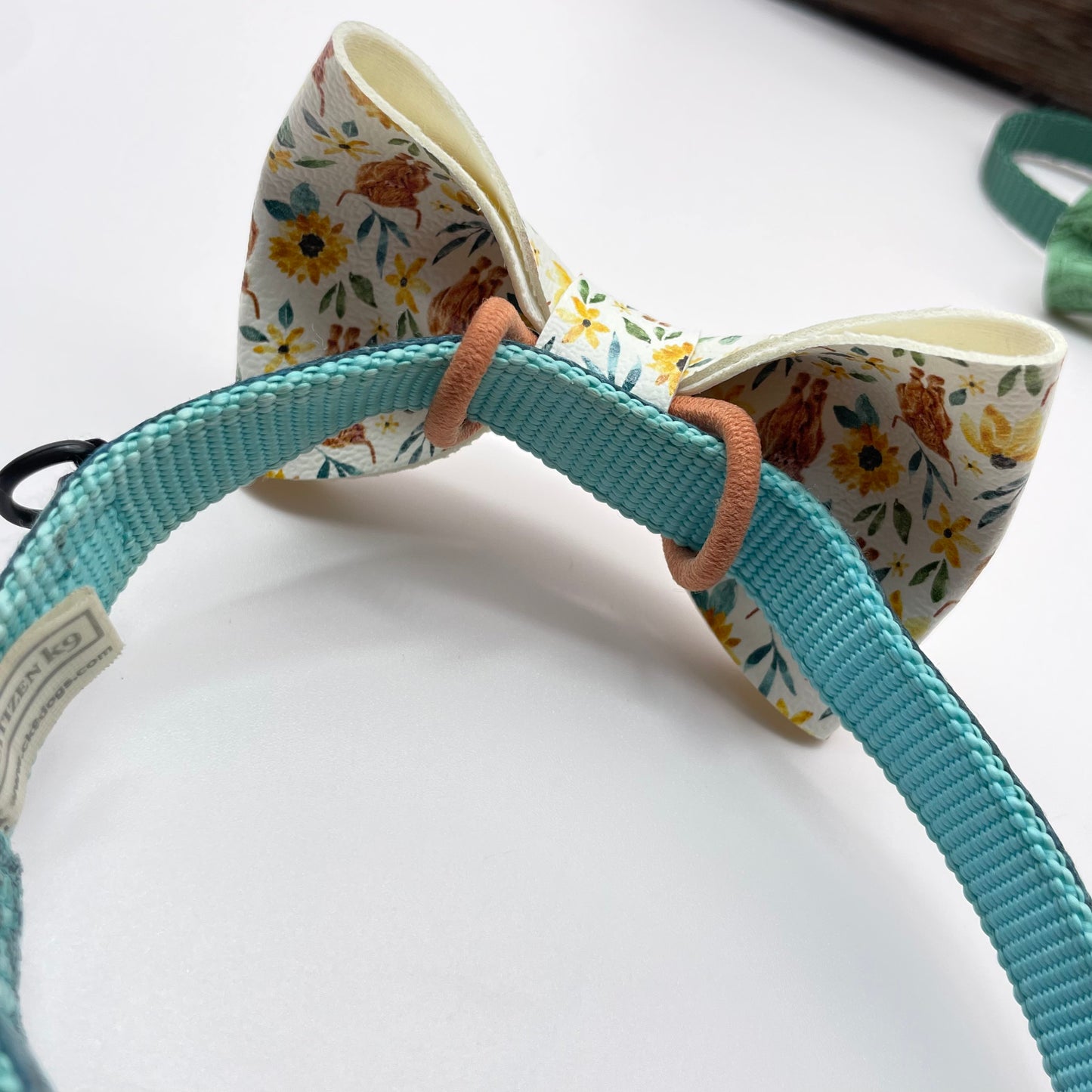 Teal Leopard Over-the-Collar Pet Bow