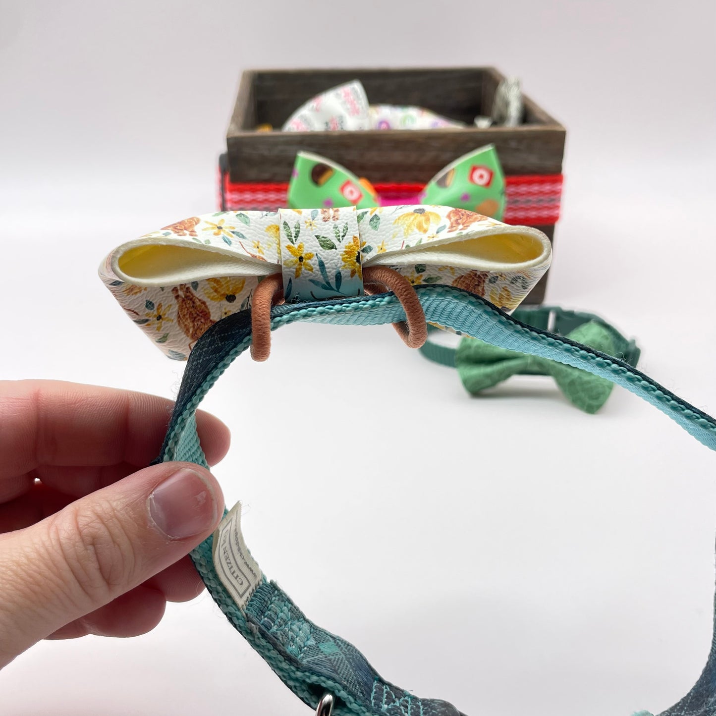 Rain in the Bows Over-the-Collar Pet Bow