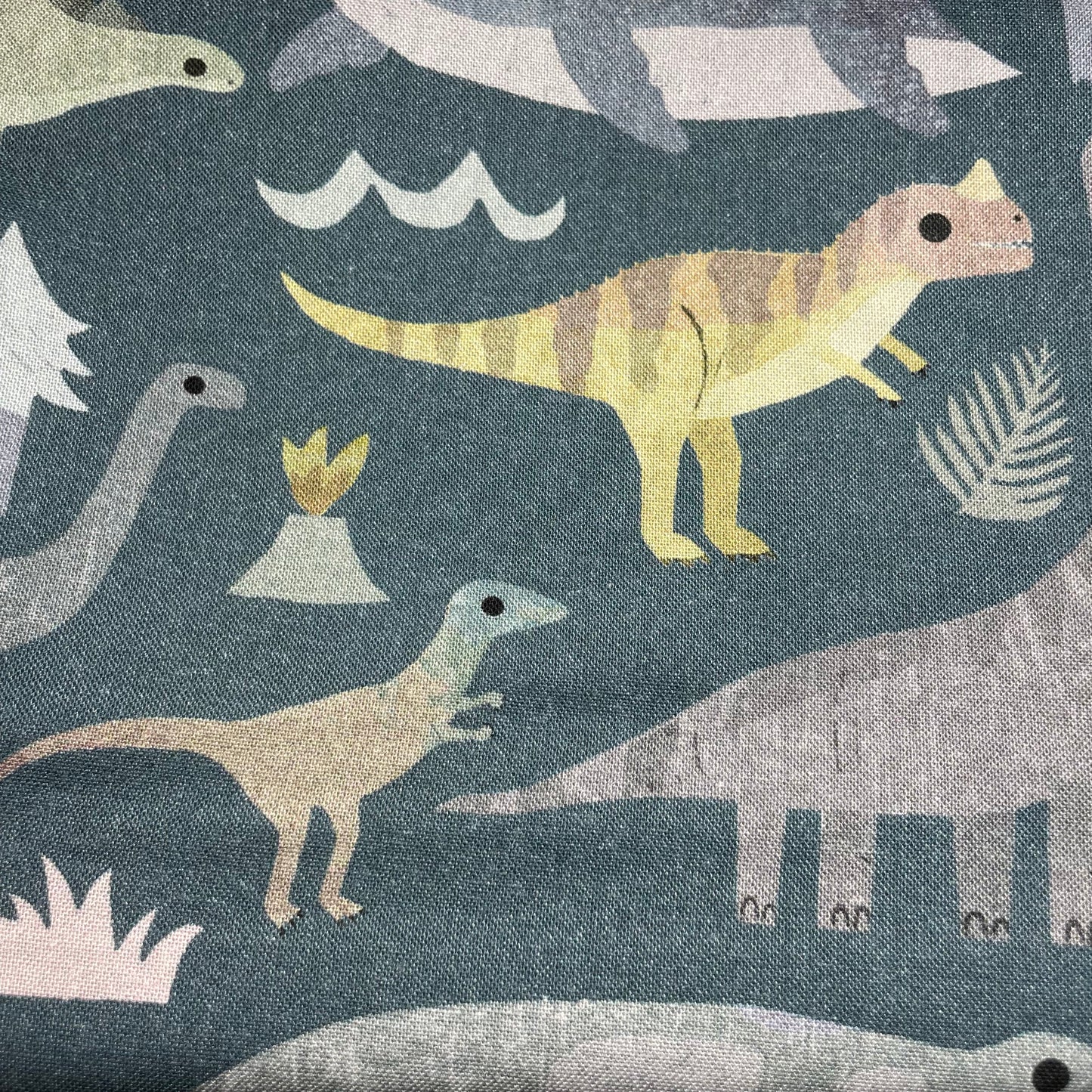 Dinosaurs Reusable Snack Bag