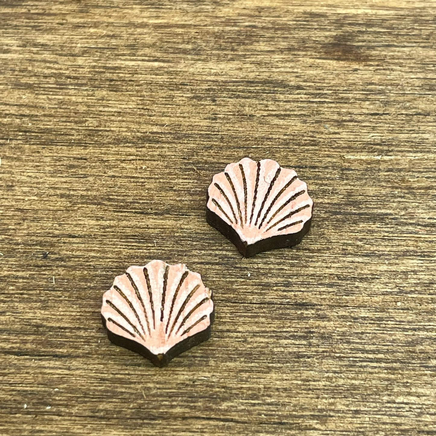 Sea Shell Stud Earrings