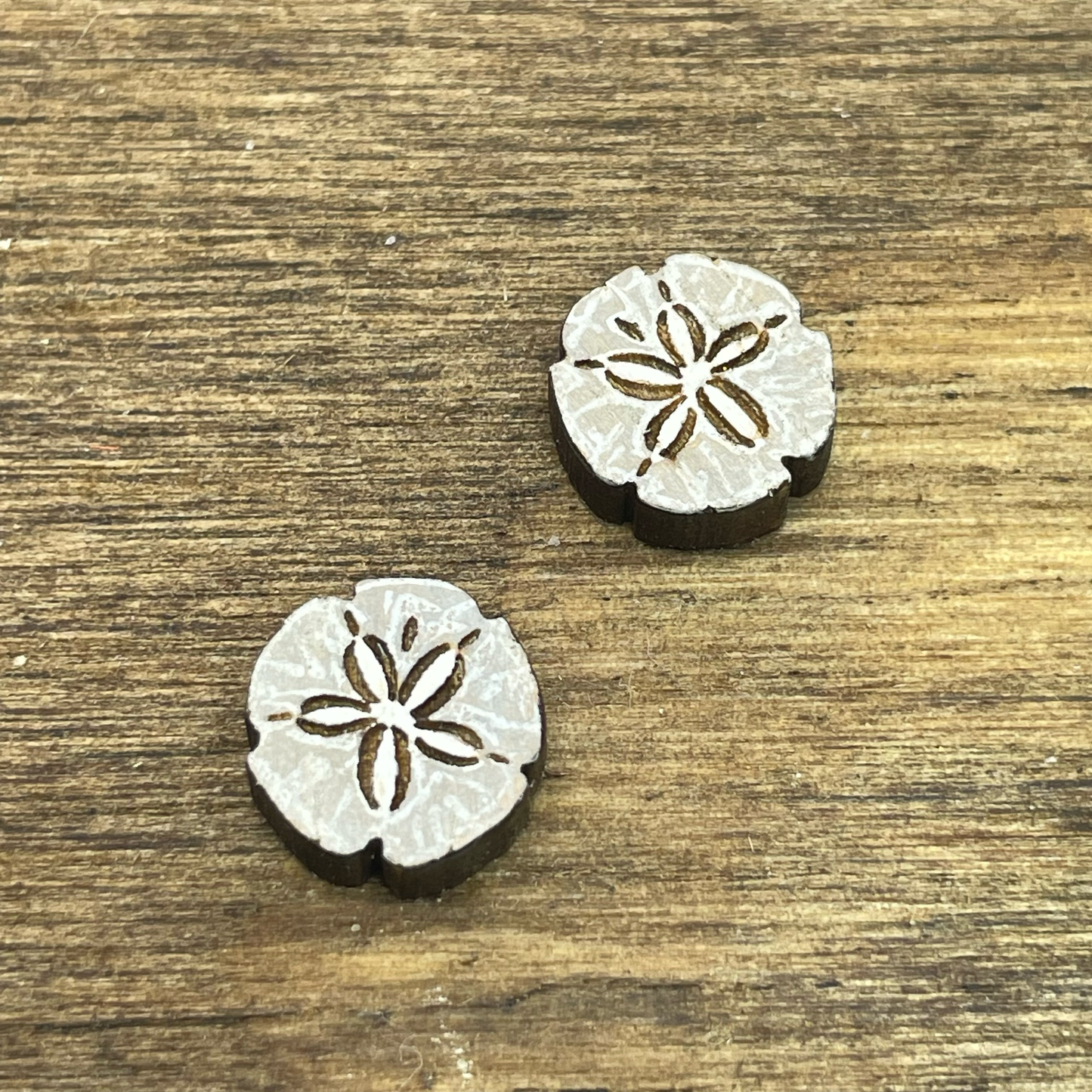 Sand Dollar Stud Earrings