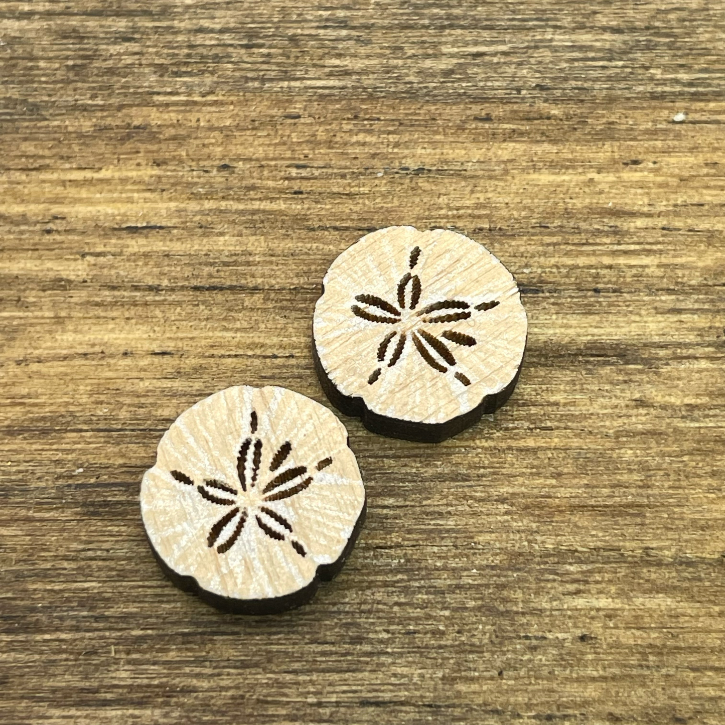 Sand Dollar Stud Earrings