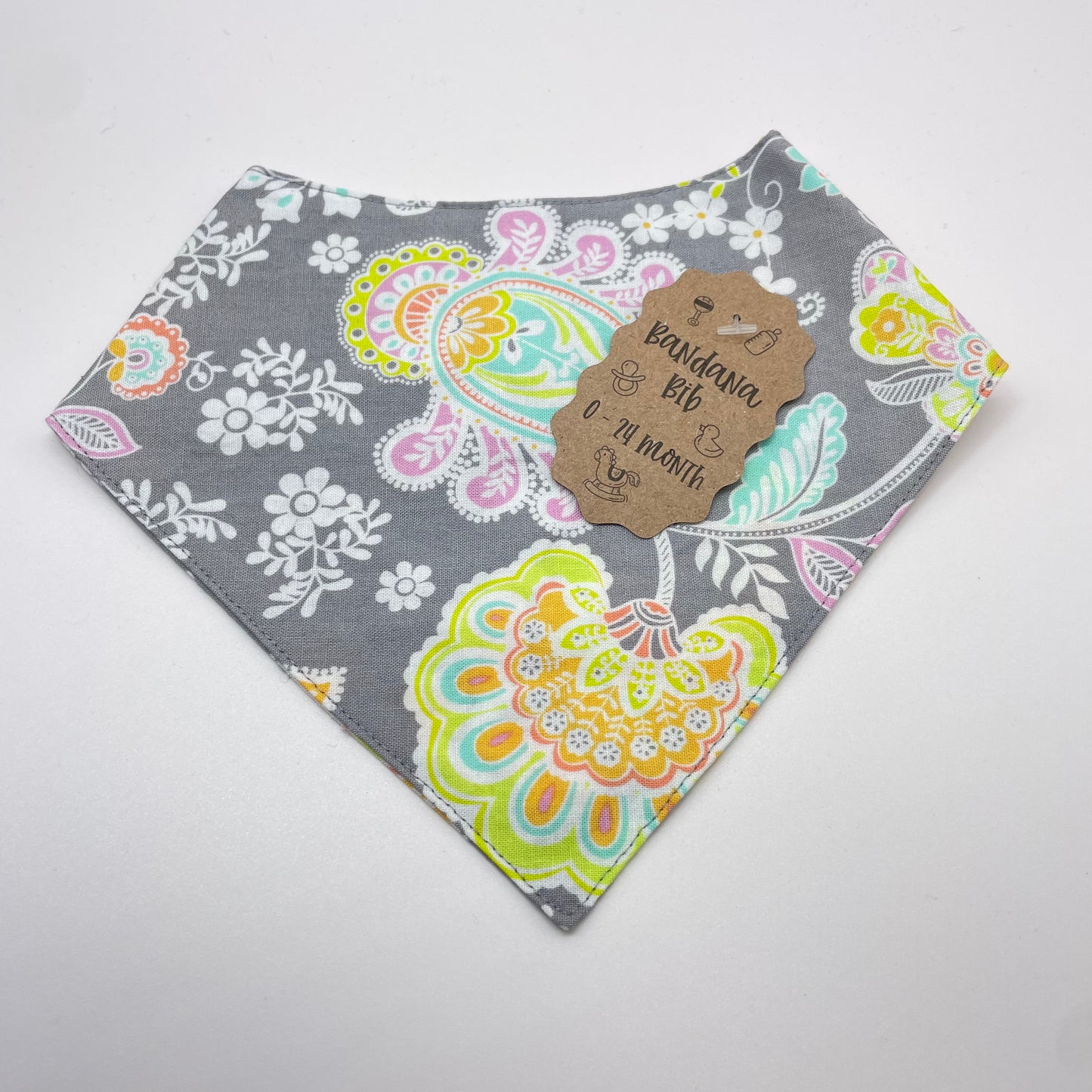 Pleasant Paisley Baby Bib