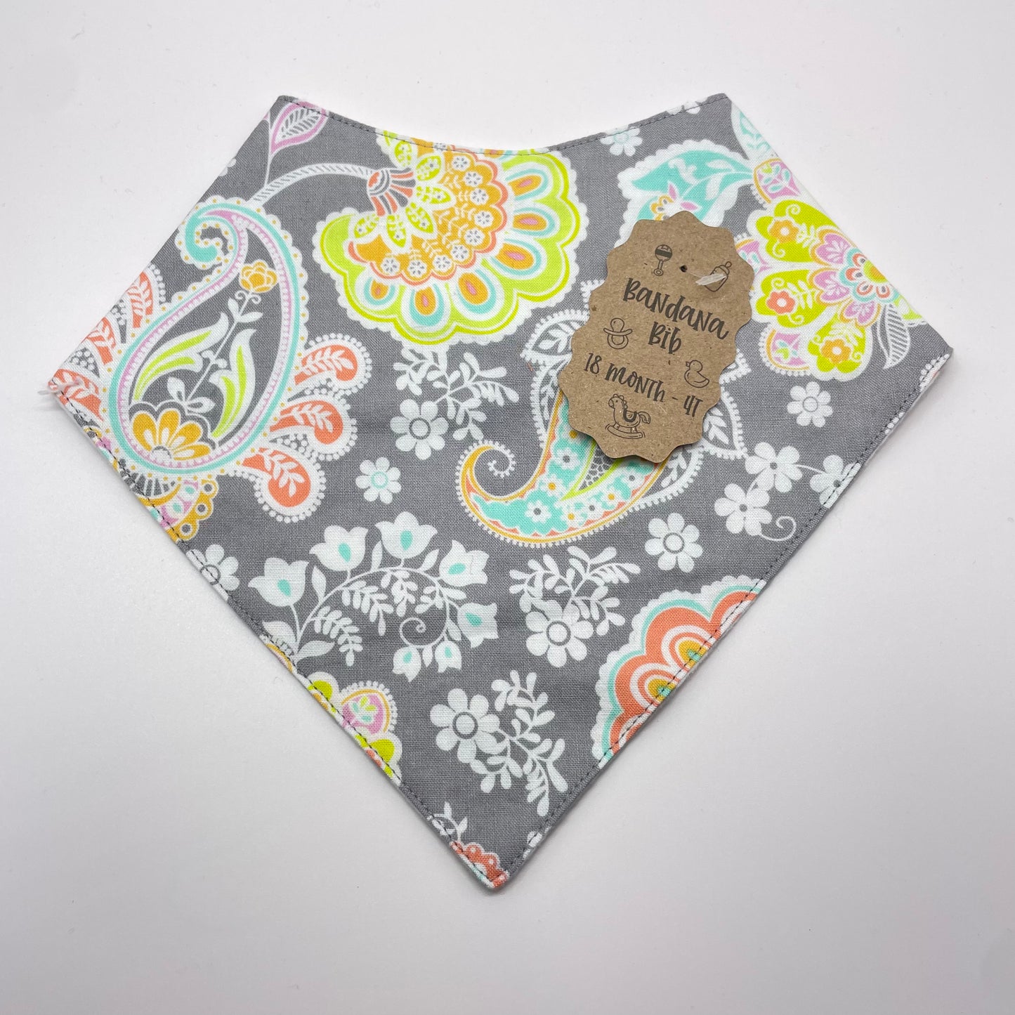 Pleasant Paisley Baby Bib